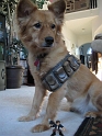 Han&Chewie (4)B